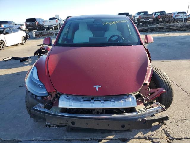 2021 TESLA MODEL Y - 5YJYGDEF5MF215562