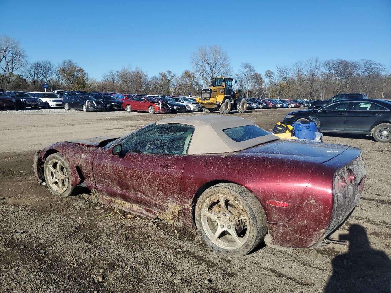 Lot #3029386679 2003 CHEVROLET CORVETTE