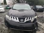 Lot #3024006224 2009 NISSAN MURANO S