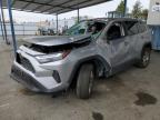 2024 TOYOTA RAV4 XLE - 2T3P1RFV5RC461093