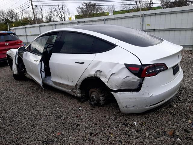 2023 TESLA MODEL 3 - 5YJ3E1EAXPF564515