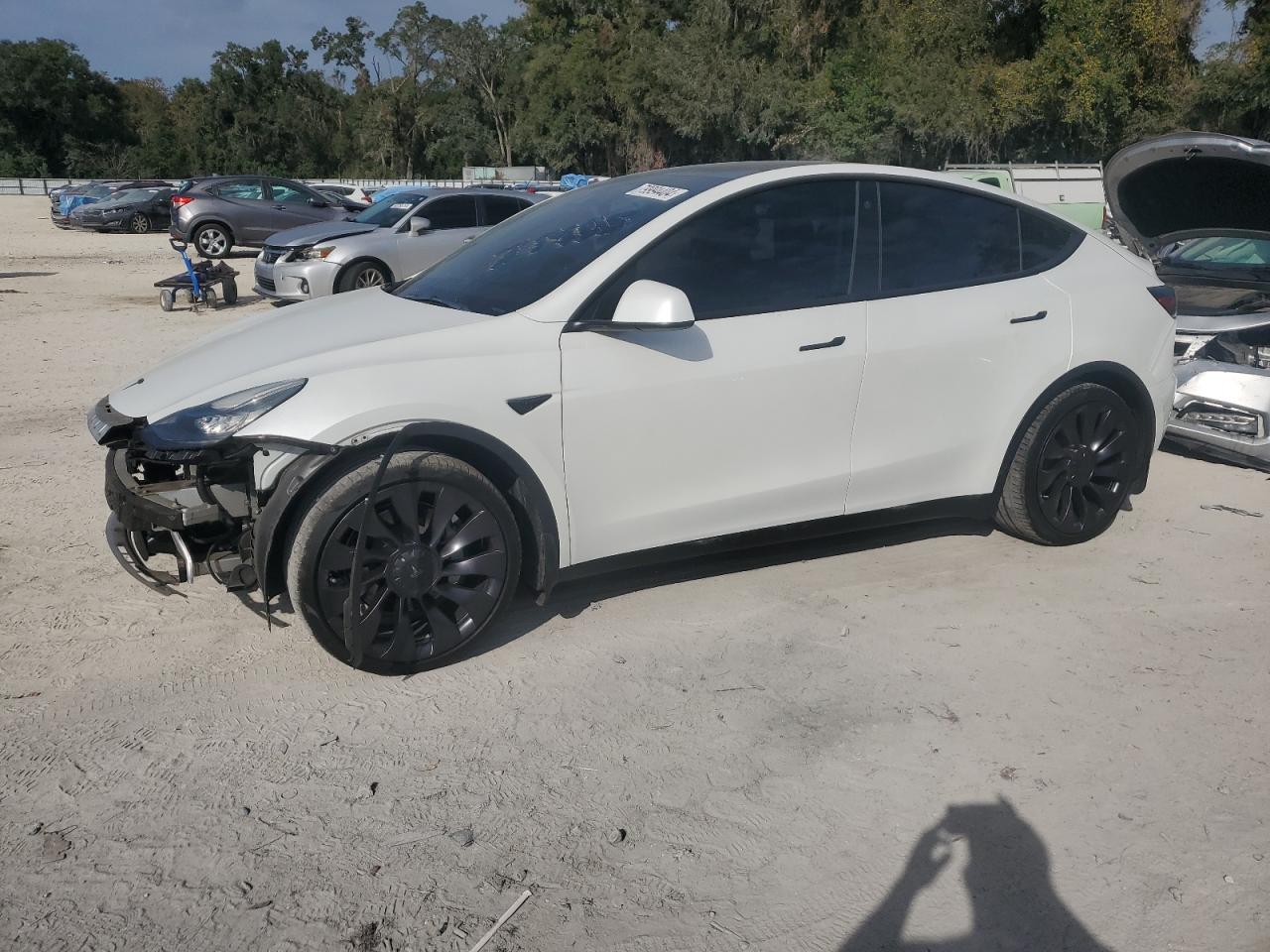 Lot #2977011597 2021 TESLA MODEL Y