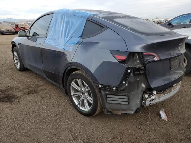 2023 TESLA MODEL Y - 7SAYGDEE7PF706519