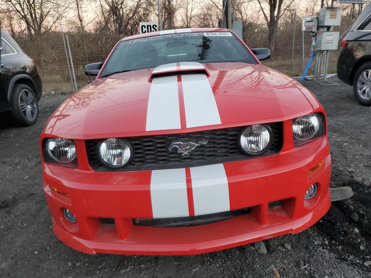 Lot #3008886615 2007 FORD MUSTANG GT