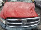 Lot #3006930517 2009 DODGE RAM 1500