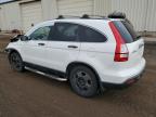 HONDA CR-V EX photo