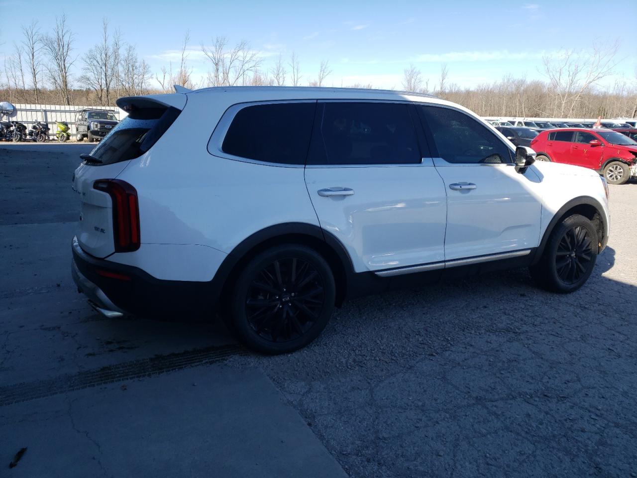 Lot #3009029326 2020 KIA TELLURIDE