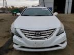 HYUNDAI SONATA SE photo