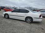 Lot #3024309011 2002 CHEVROLET IMPALA LS