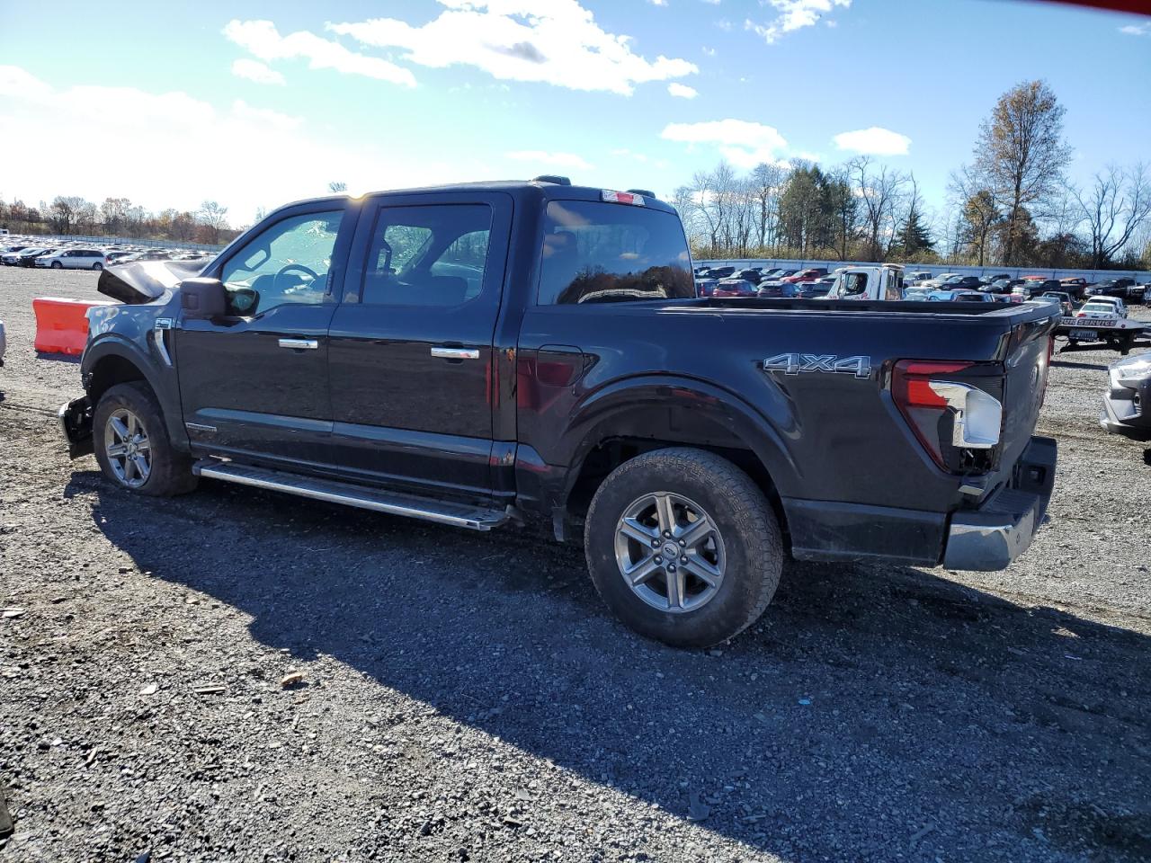 Lot #2991441846 2024 FORD F150 XLT