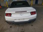 Lot #3025020253 2024 FORD MUSTANG