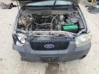 Lot #3023999212 2007 FORD ESCAPE XLS