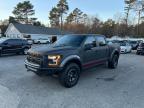 FORD F150 RAPTO photo