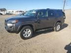 2023 TOYOTA 4RUNNER SR - JTEEU5JR6P5303376
