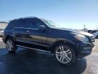 MERCEDES-BENZ ML 350 photo