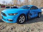 2017 FORD MUSTANG - 1FA6P8AM3H5224695