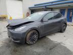 2024 TESLA MODEL Y - 7SAYGDEF9RF041554