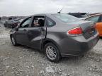 Lot #3023632282 2011 FORD FOCUS SE