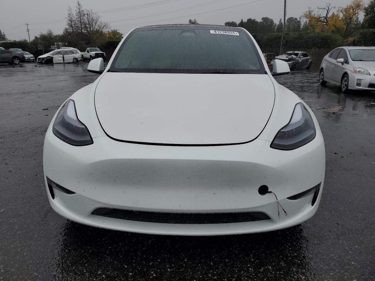 Lot #3033213812 2024 TESLA MODEL Y