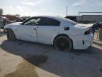 Lot #2991642058 2023 DODGE CHARGER SR