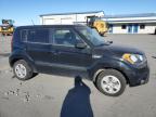 KIA SOUL photo