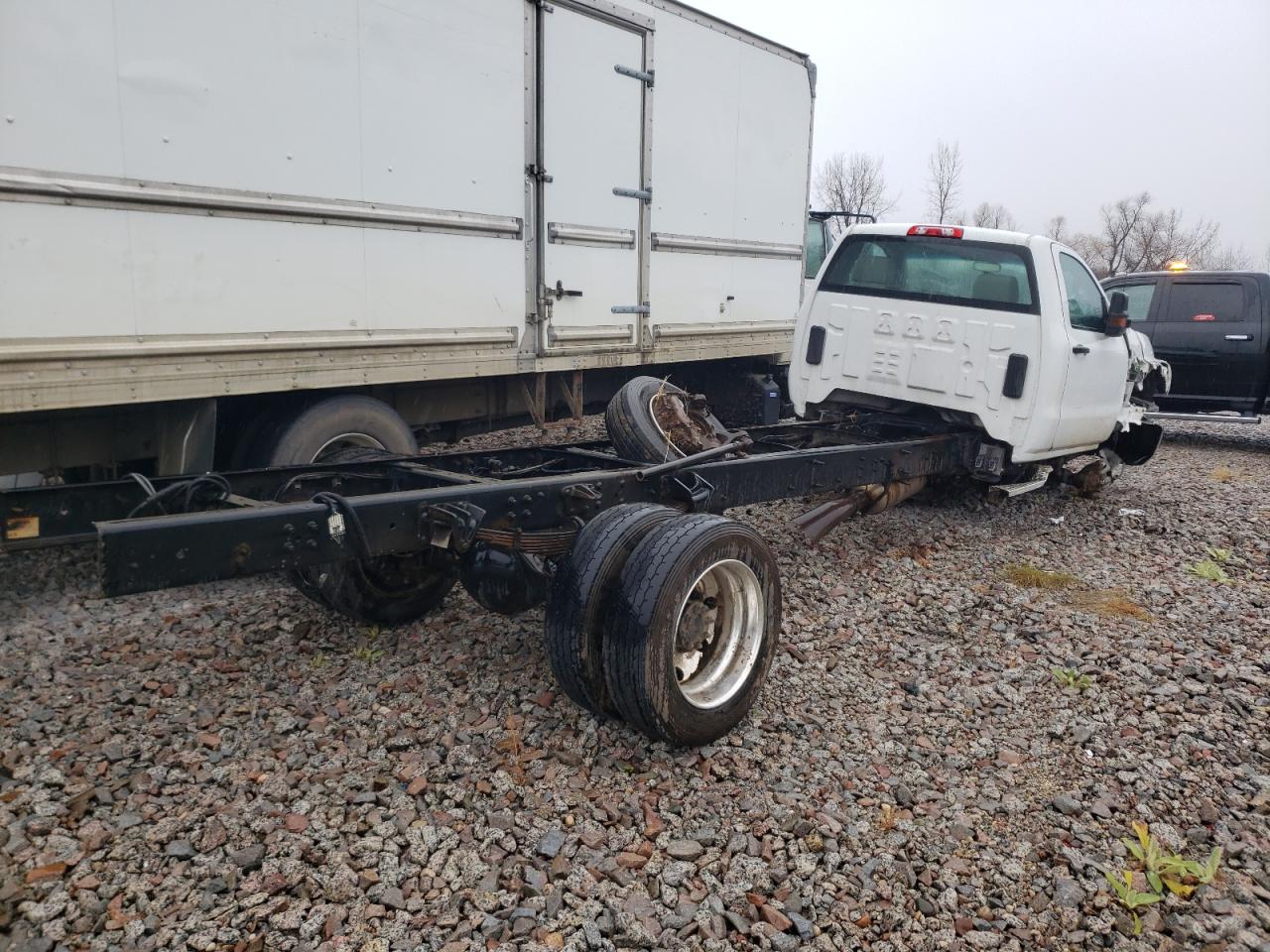 Lot #2996586553 2019 CHEVROLET SILVERADO