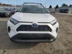 Lot #3023984252 2024 TOYOTA RAV4 XLE