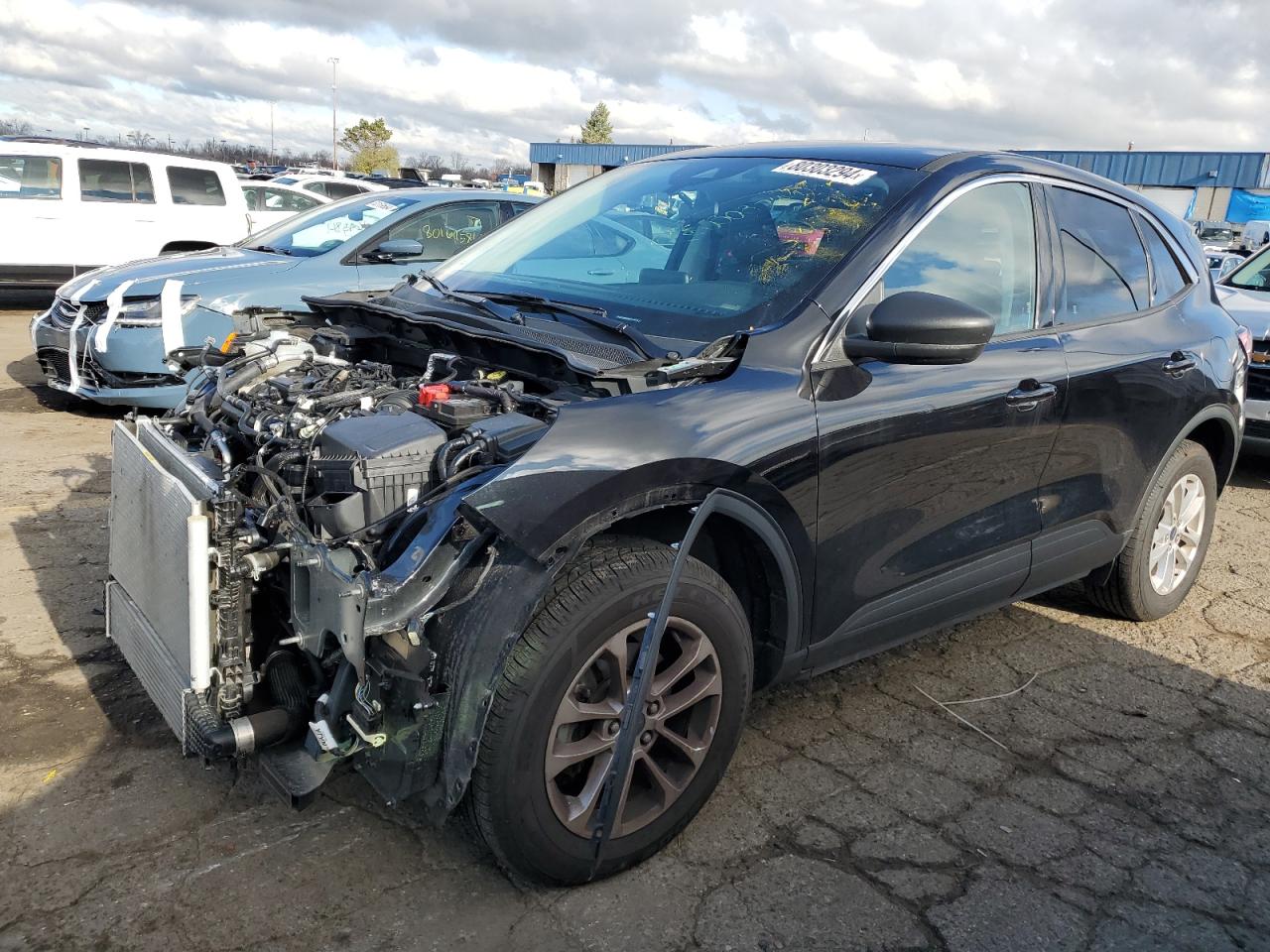 Lot #2986529255 2022 FORD ESCAPE SE