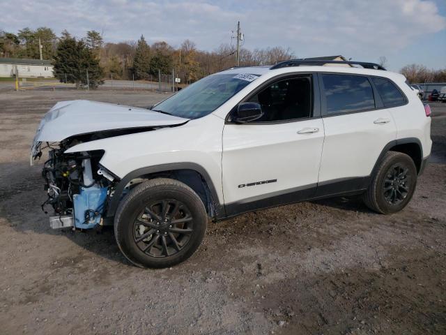 JEEP CHEROKEE A 2023 white  gas 1C4PJMMB8PD106200 photo #1