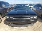 DODGE CHALLENGER photo