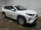 TOYOTA RAV4 XLE снимка