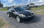 NISSAN ALTIMA S photo