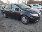 HONDA ODYSSEY EX photo