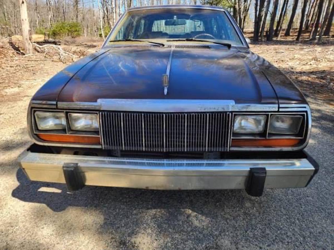 Lot #3010764975 1979 AMERICAN MOTORS CONCORD W