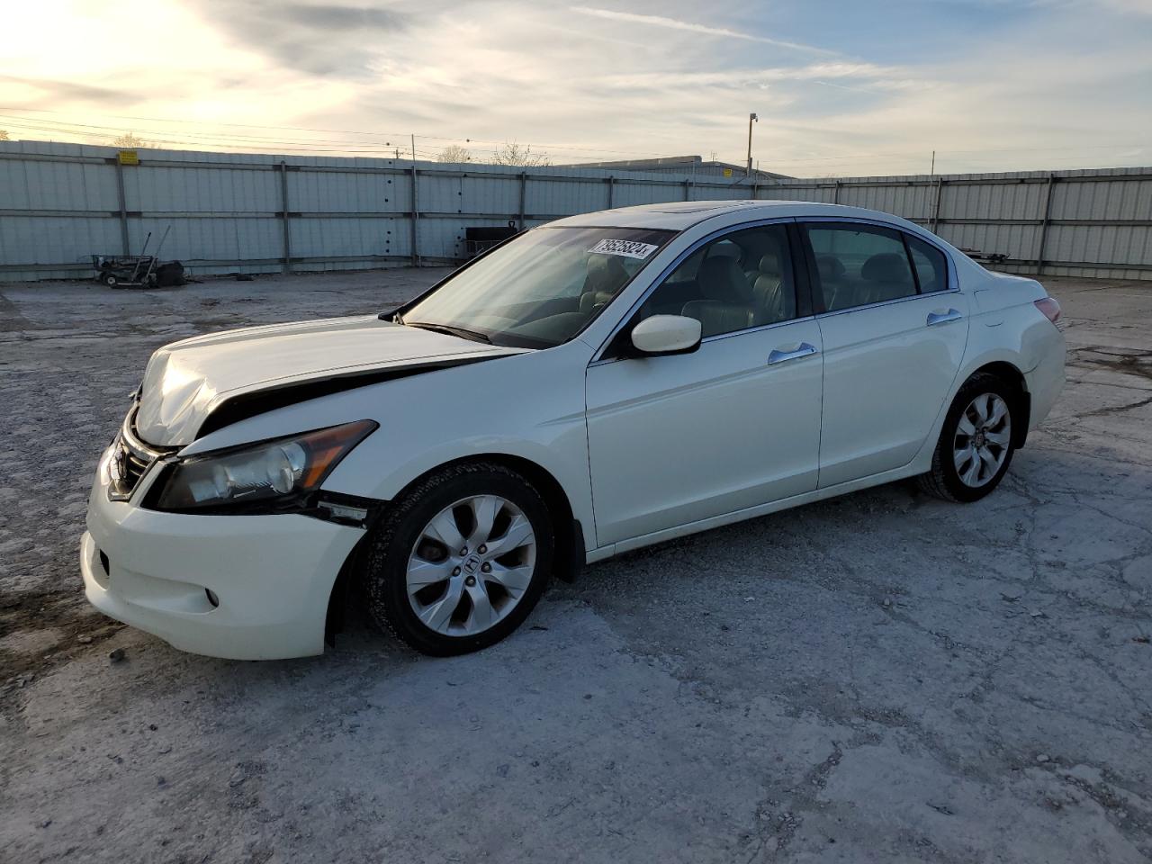 HONDA ACCORD EXL