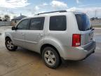 HONDA PILOT EXL photo