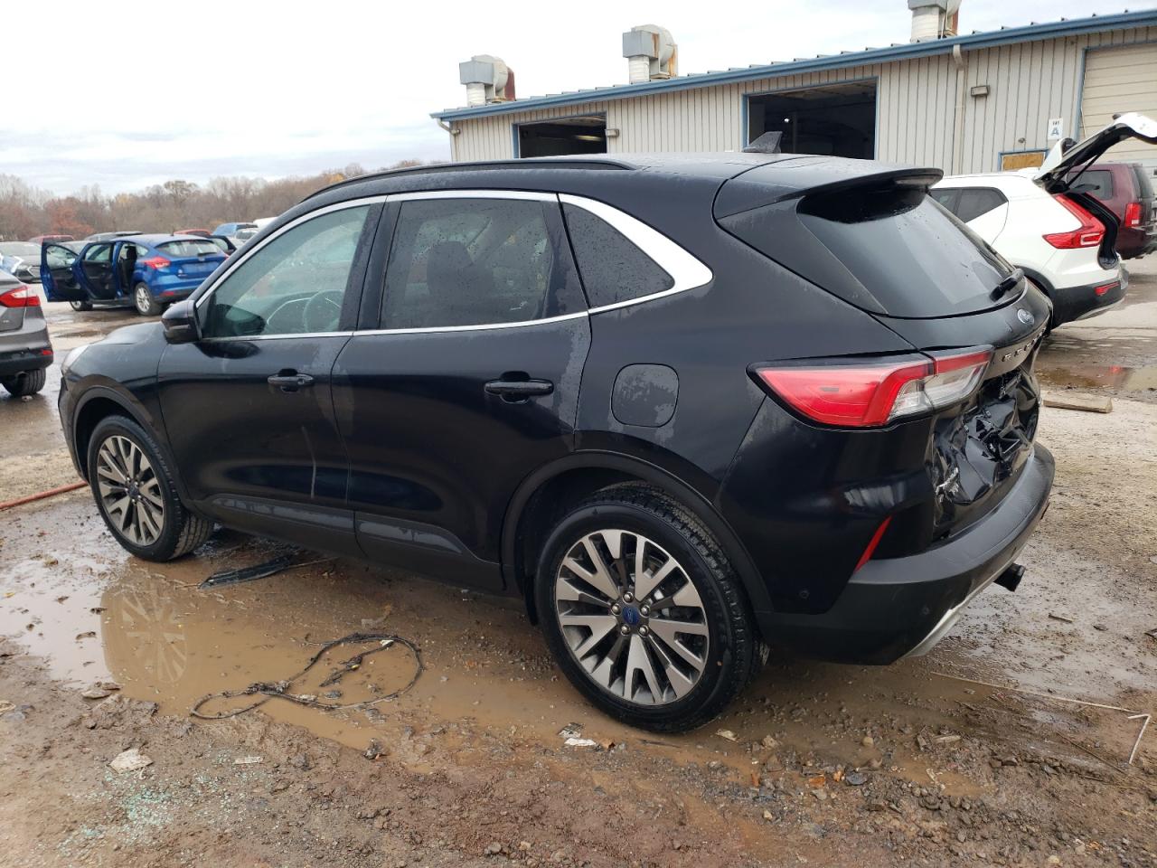 Lot #2977021652 2020 FORD ESCAPE TIT