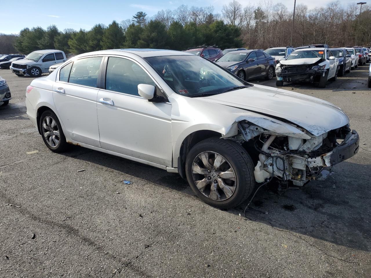 Lot #3026930990 2008 HONDA ACCORD EXL