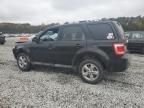 Lot #3004229904 2011 FORD ESCAPE LIM