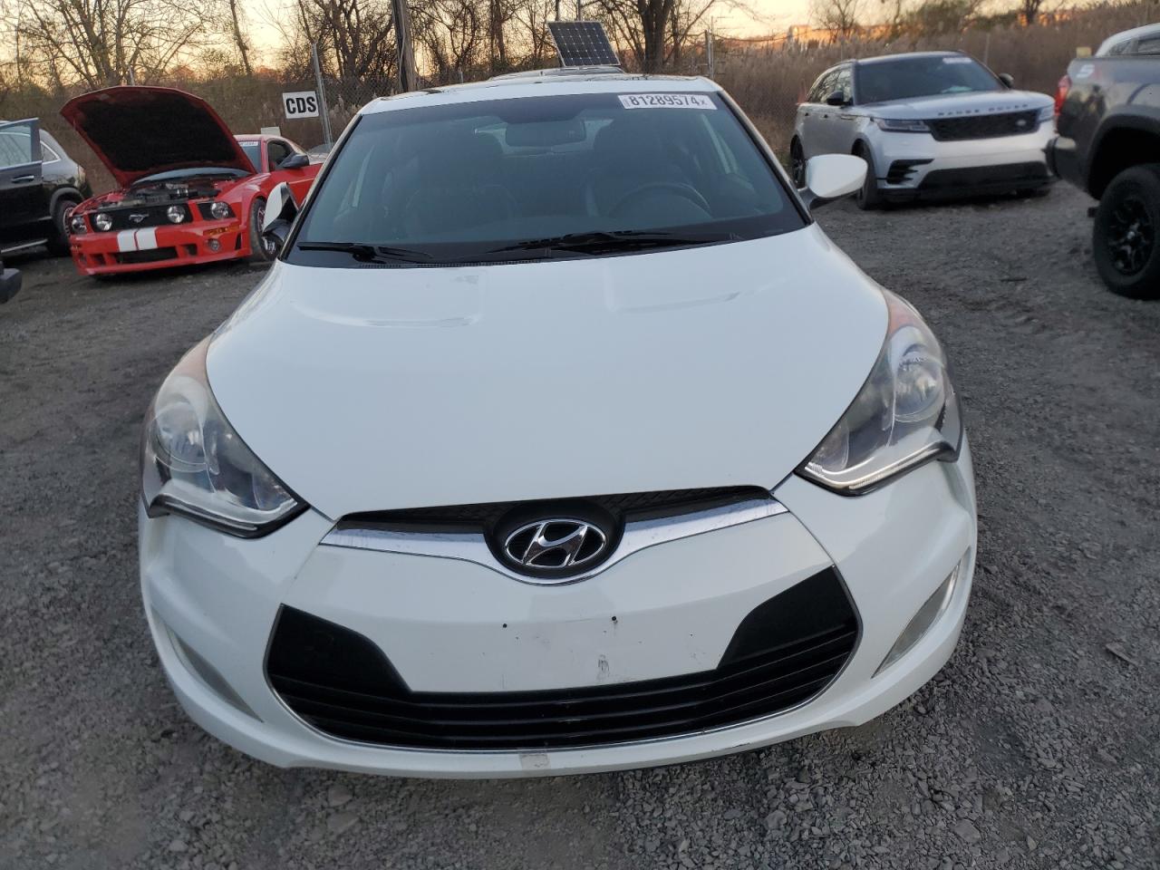 Lot #3003897581 2016 HYUNDAI VELOSTER