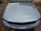 Lot #3027105788 2006 FORD MUSTANG