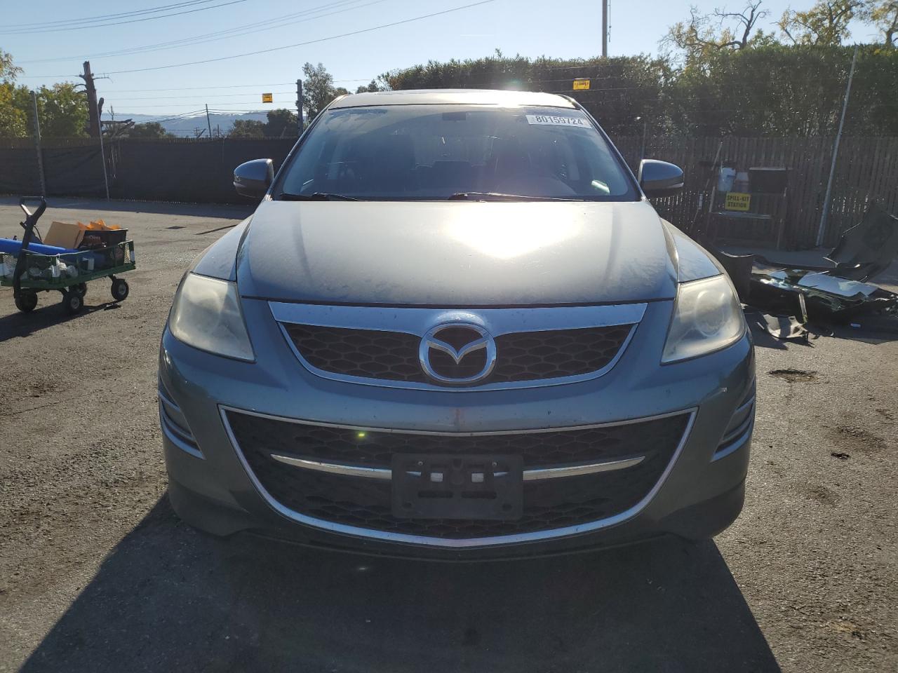 Lot #3024134813 2012 MAZDA CX-9