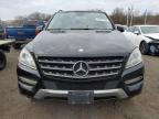 MERCEDES-BENZ ML 350 BLU photo