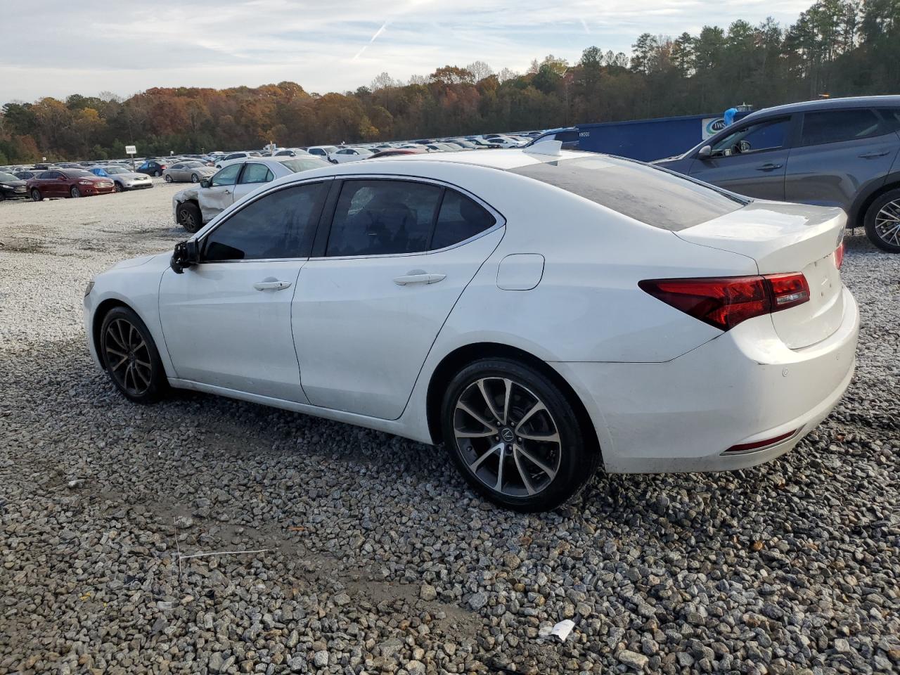 Lot #3020919768 2015 ACURA TLX ADVANC