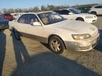 Lot #3006114750 1996 LEXUS ES 300