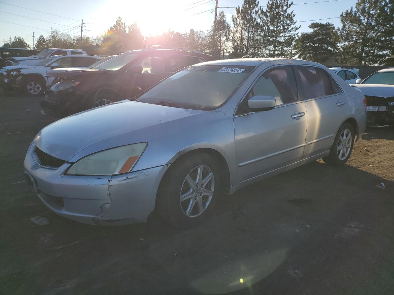 Lot #3014952004 2003 HONDA ACCORD EX