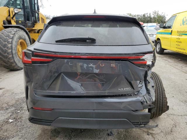 VIN 2T2GDCAZ4RC009980 2024 LEXUS NX 250 PRE no.6