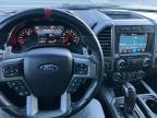 FORD F150 RAPTO photo