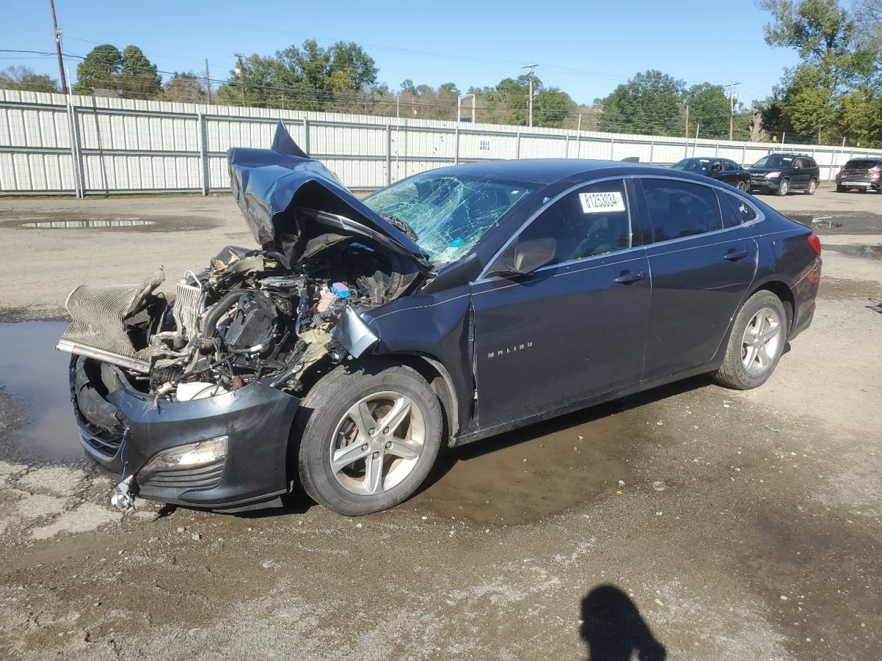 Lot #3048545876 2019 CHEVROLET MALIBU LS