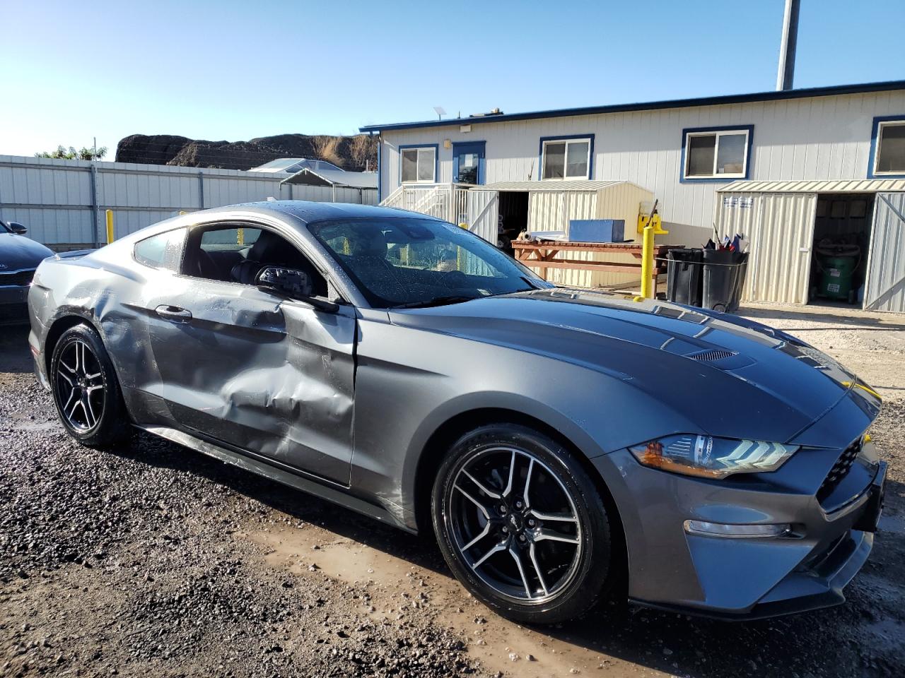 Lot #2988819646 2023 FORD MUSTANG